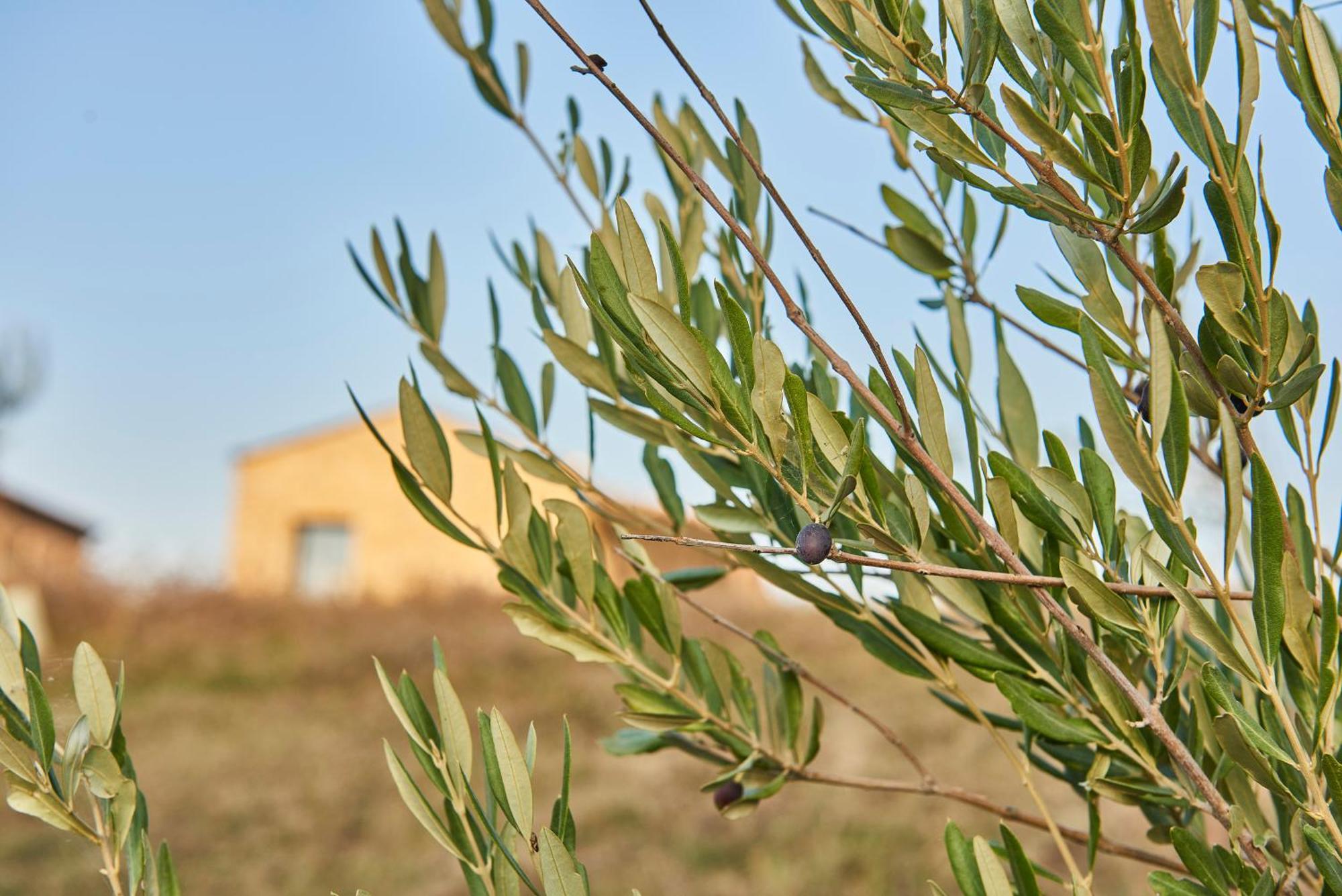 Agriturismo Prato Del Re Prignano sulla Secchia Esterno foto