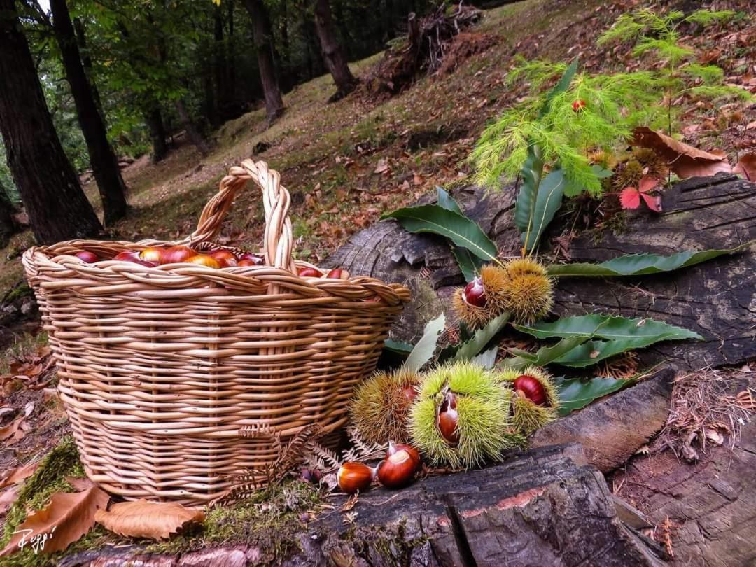 Agriturismo Prato Del Re Prignano sulla Secchia Esterno foto