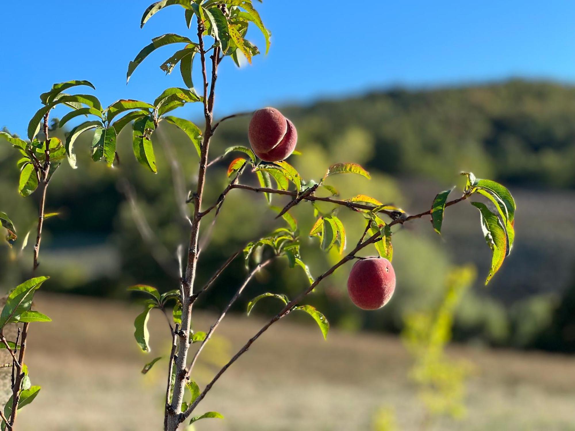 Agriturismo Prato Del Re Prignano sulla Secchia Esterno foto
