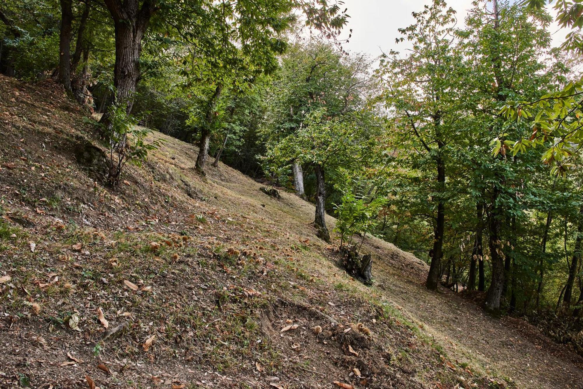 Agriturismo Prato Del Re Prignano sulla Secchia Esterno foto
